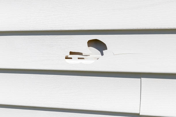 Siding Removal and Disposal in Westmont, CA